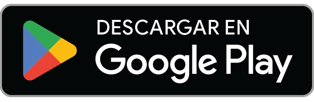 icon google